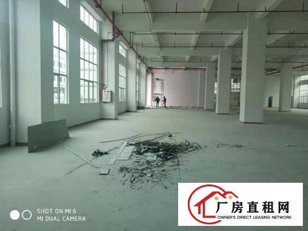  长安上沙中南广场旁独院3000平厂房出租可做仓库可分租