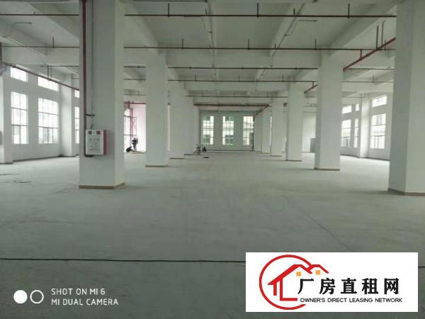  长安上沙中南广场旁独院3000平厂房出租可做仓库可分租