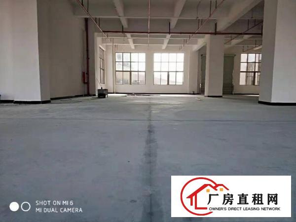  长安上沙中南广场旁独院3000平厂房出租可做仓库可分租