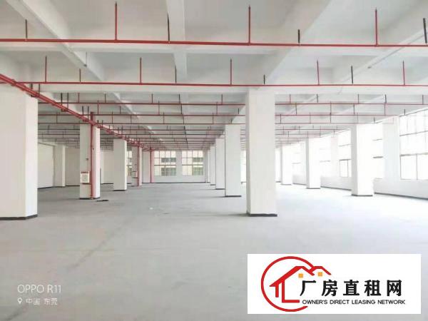  长安上沙中南广场旁独院3000平厂房出租可做仓库可分租