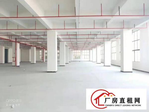  长安上沙中南广场旁独院3000平厂房出租可做仓库可分租