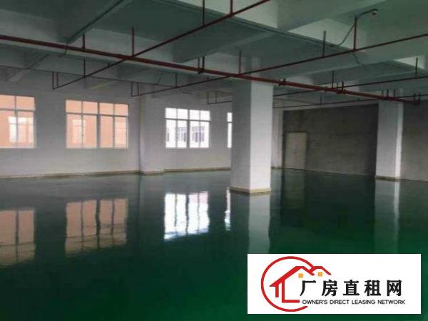  长安乌沙大润发旁独院厂房楼上2250平可整租可分租