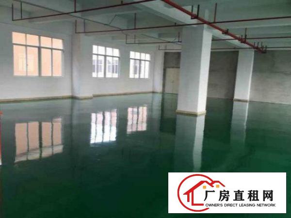  长安乌沙大润发旁独院厂房楼上2250平可整租可分租