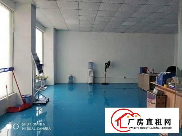 （出租）长安乌沙楼上精装580平厂房
