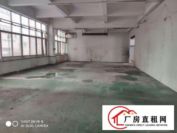  长安新出标准重工业厂房二楼带精装修1100平出租