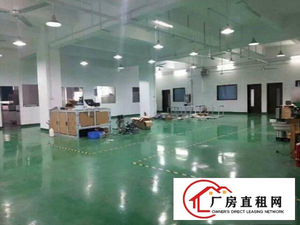  长安沙头580平方豪华装修厂房出租可办环评