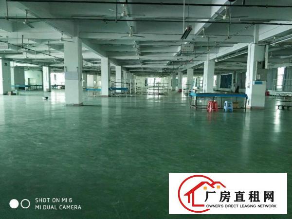  沿江高速长安厦岗原房东红本独院1000平起分租不堵车