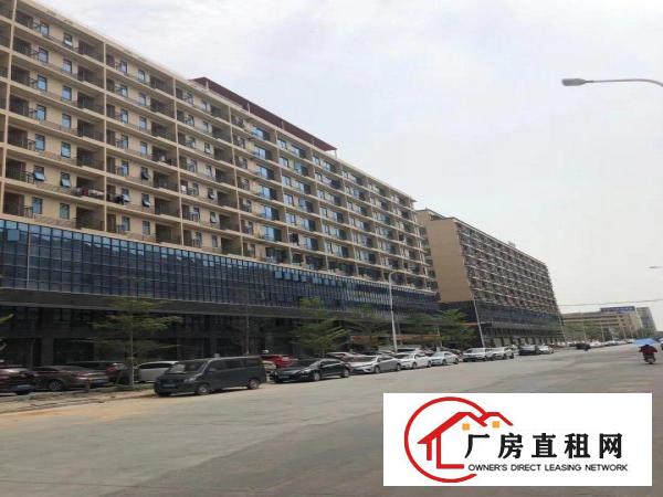  滨海湾全新工业园招租20元起每平