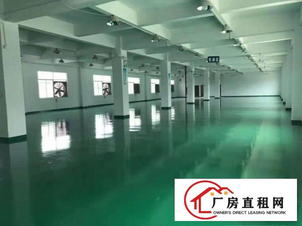  出租长安镇厦边260平方厂房，精装修水电齐全位置好易招工