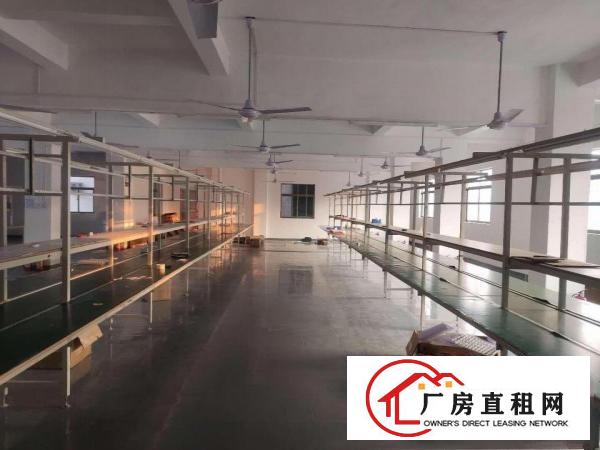 长安新出豪华装修厂房