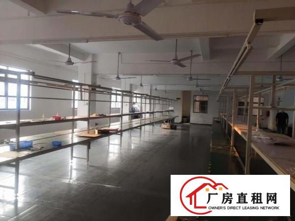  长安新出豪华装修厂房