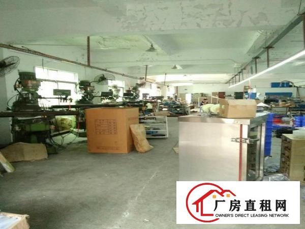  长安上沙独院厂房1800平，带宿舍500平可分租