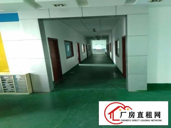  长安上沙独院厂房1800平，带宿舍500平可分租