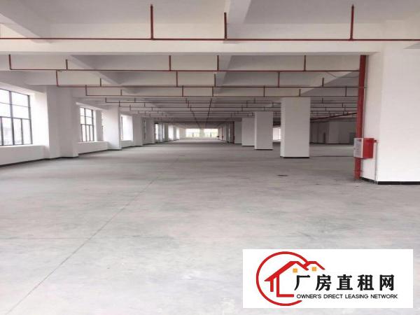  长安厦边新出一楼重工业厂房带装修3800平（可分租）