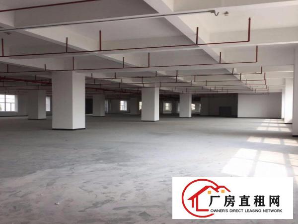  长安厦边新出一楼重工业厂房带装修3800平（可分租）