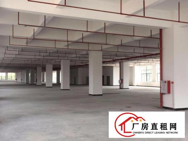  长安厦边新出一楼重工业厂房带装修3800平（可分租）
