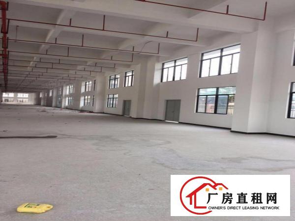  长安厦边新出一楼重工业厂房带装修3800平（可分租）
