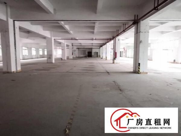  东莞长安新出21480㎡标准厂房招租