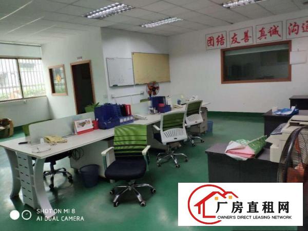  原房东（新出）长安乌沙新安大桥附近480平带装修厂房