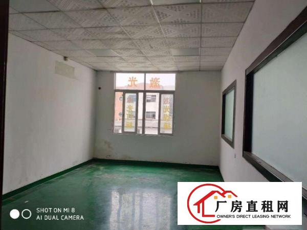  原房东（新出）长安乌沙新安大桥附近480平带装修厂房
