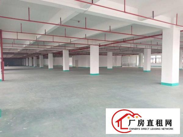  长安沙头全新厂十万平原房东可办环评