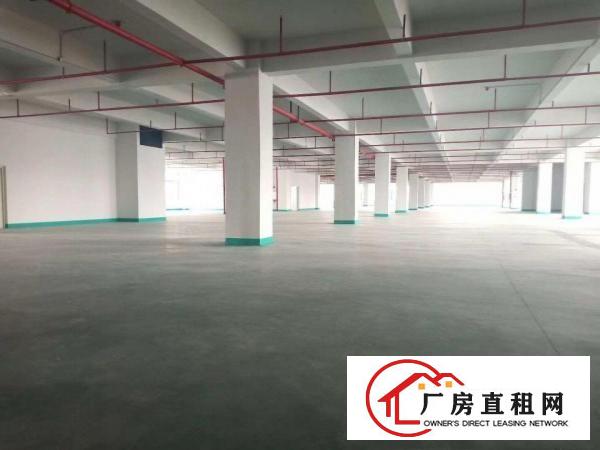  长安沙头全新厂十万平原房东可办环评