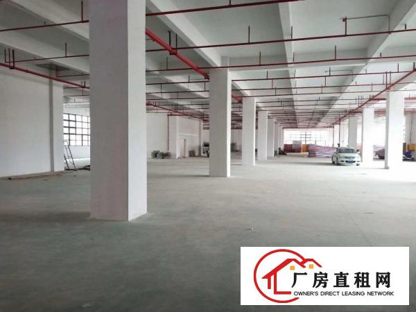  长安沙头全新厂十万平原房东可办环评