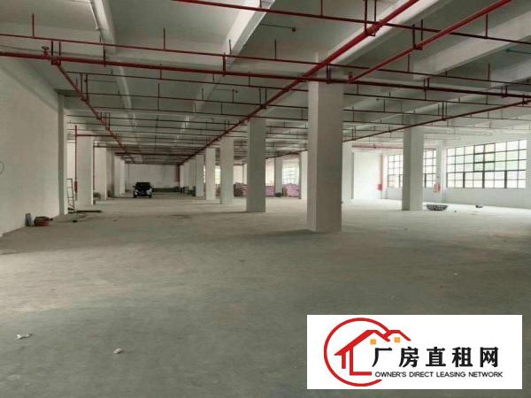  长安沙头全新厂十万平原房东可办环评