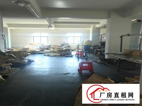 长安涌头围村小型厂房仓库办公楼出租