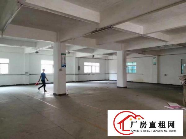  全新厂房出租楼上只要15元/平，大小可分租