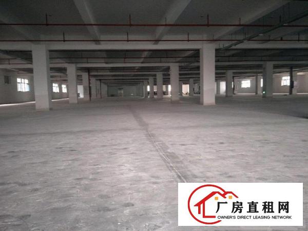  高新科技园区全新厂房