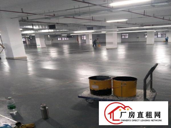  高新科技园区全新厂房