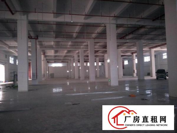  高新科技园区全新厂房