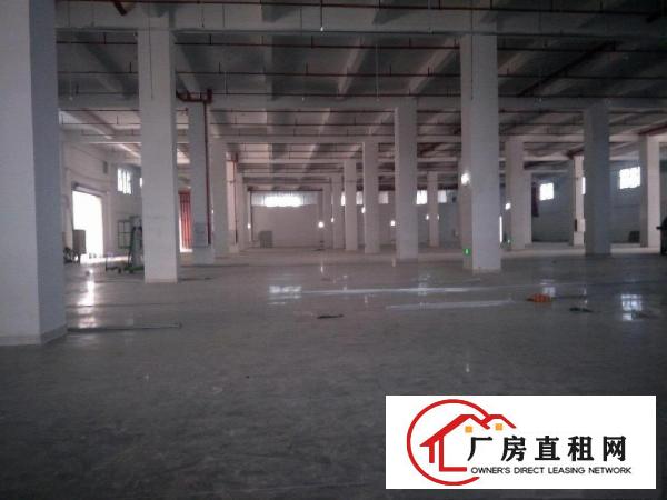  高新科技园区全新厂房
