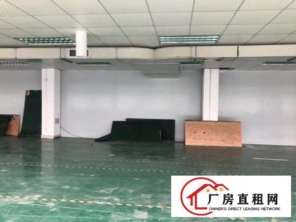  长安镇宵边万达旁新出楼上1100平豪华装修（可分租）