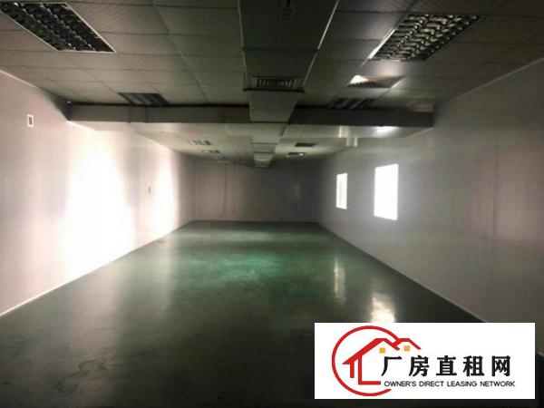  长安镇宵边万达旁新出楼上1100平豪华装修（可分租）