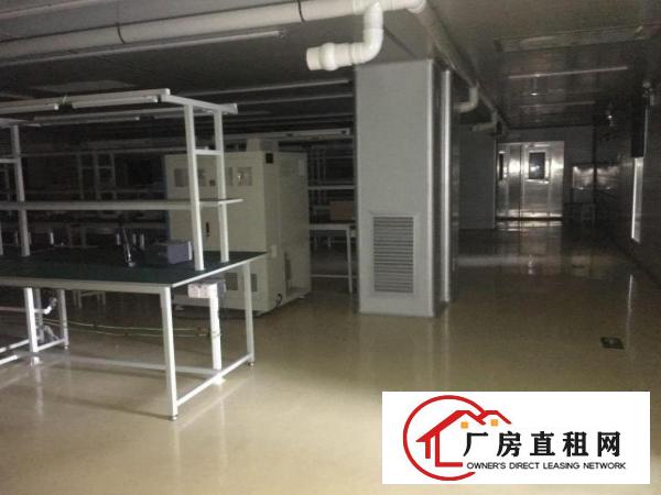  可做口罩医疗器材长安镇出租二楼1000平厂房现成无尘车间