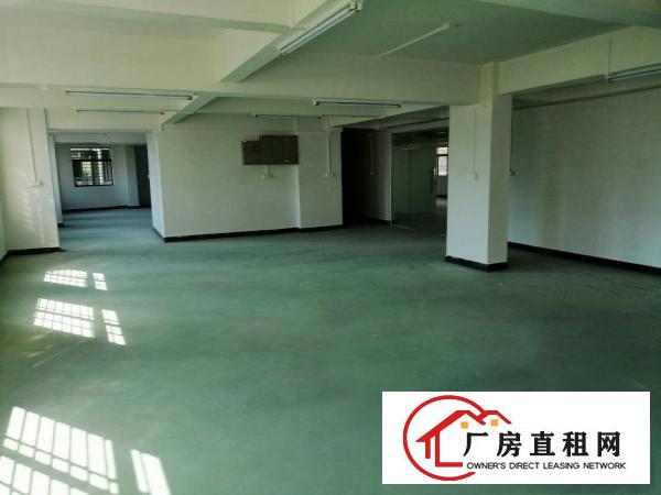  长安原房东新出二楼带装修800平方米厂房出租