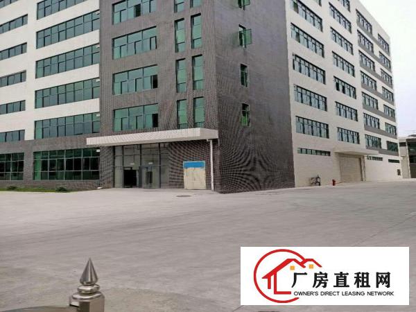  全新原房东厂房，公摊小价格实惠