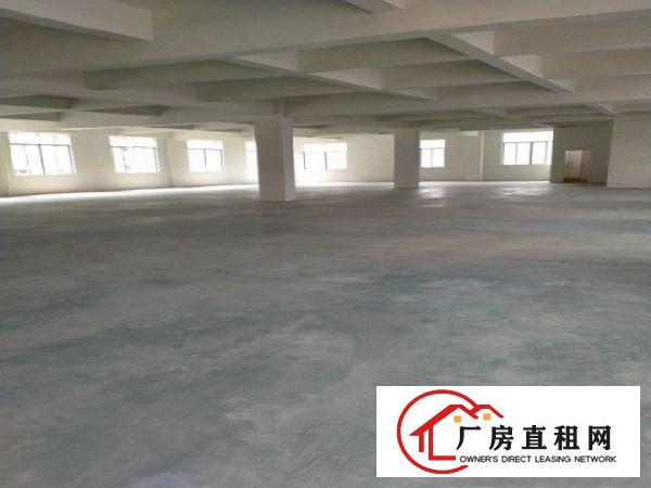  全新原房东厂房，公摊小价格实惠