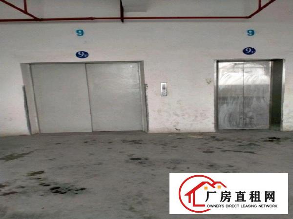  全新原房东厂房，公摊小价格实惠