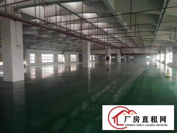  长安自带喷油注塑环评证厂房1300方，大小可分租