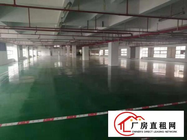 长安自带喷油注塑环评证厂房1300方，大小可分租