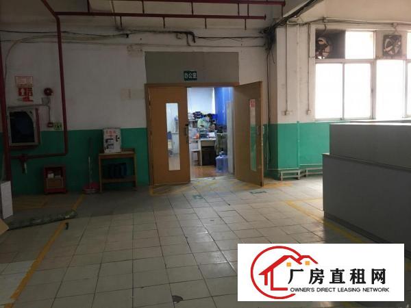  长安镇乌沙新出楼上380平方，有吊顶，带有装修。