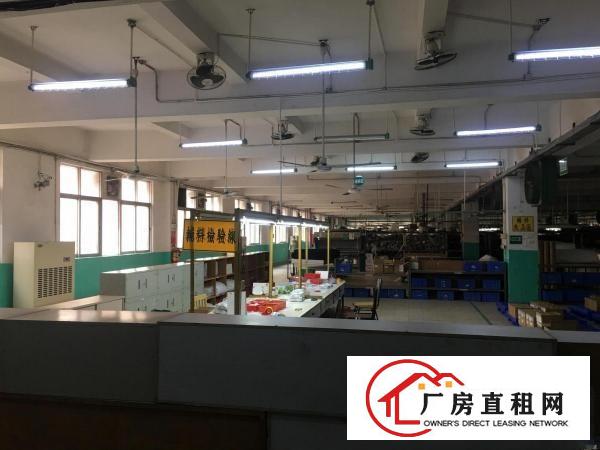  长安镇乌沙新出楼上380平方，有吊顶，带有装修。