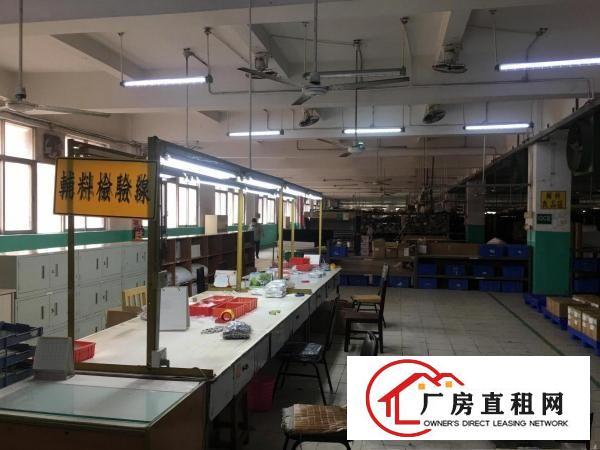  长安镇乌沙新出楼上380平方，有吊顶，带有装修。