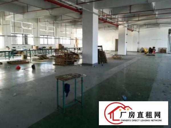  不要押金长安镇工业园出租楼上带办公室500平厂房可分租