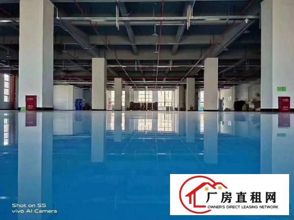  无尘车间标准装修厂房，距离深圳一步之遥