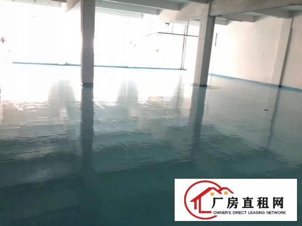 沙头新出独门独院厂房分租