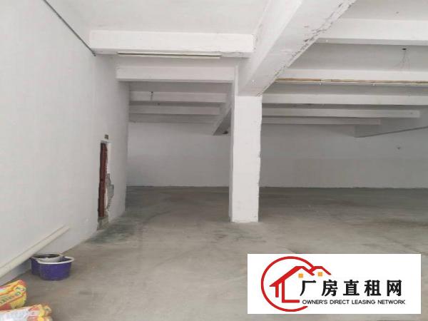  沙头新出独门独院厂房分租